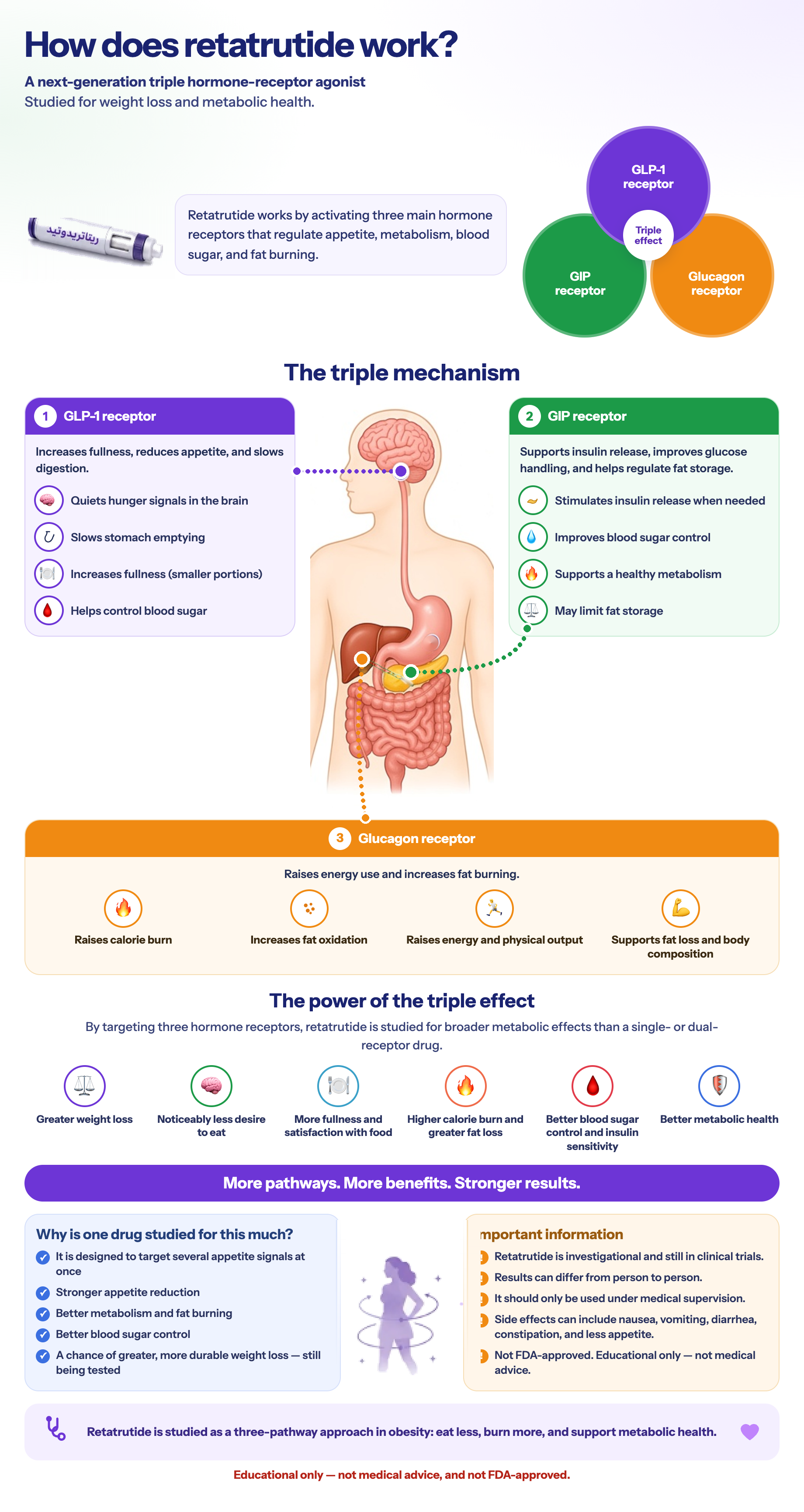 How does retatrutide work?